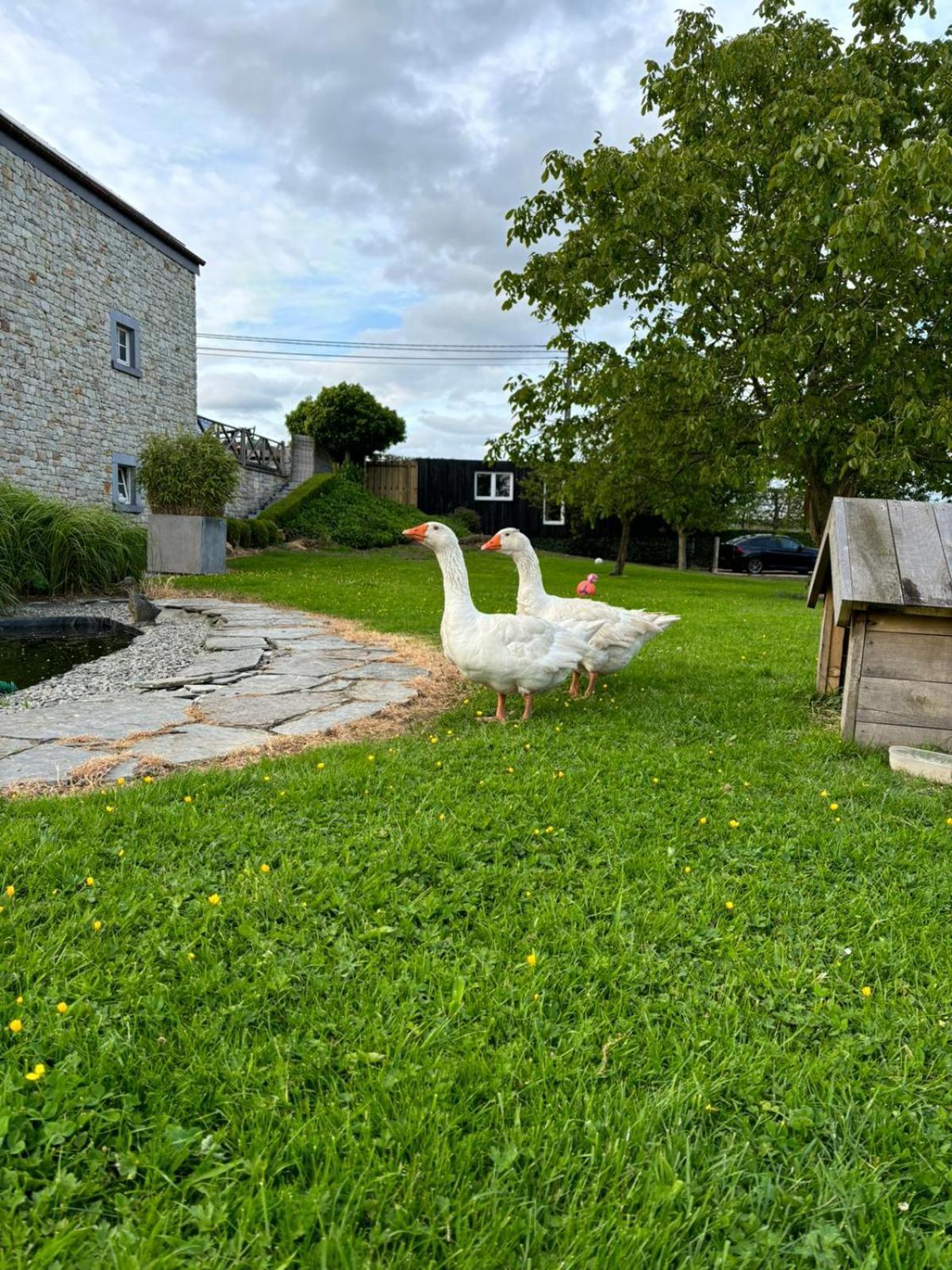 Le Clos Des Bansions Jalhay Eksteriør billede